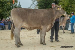 k-AR8I4417 Rinderchampion OB Hakon Haapajaervi Tanja und Hans Trb